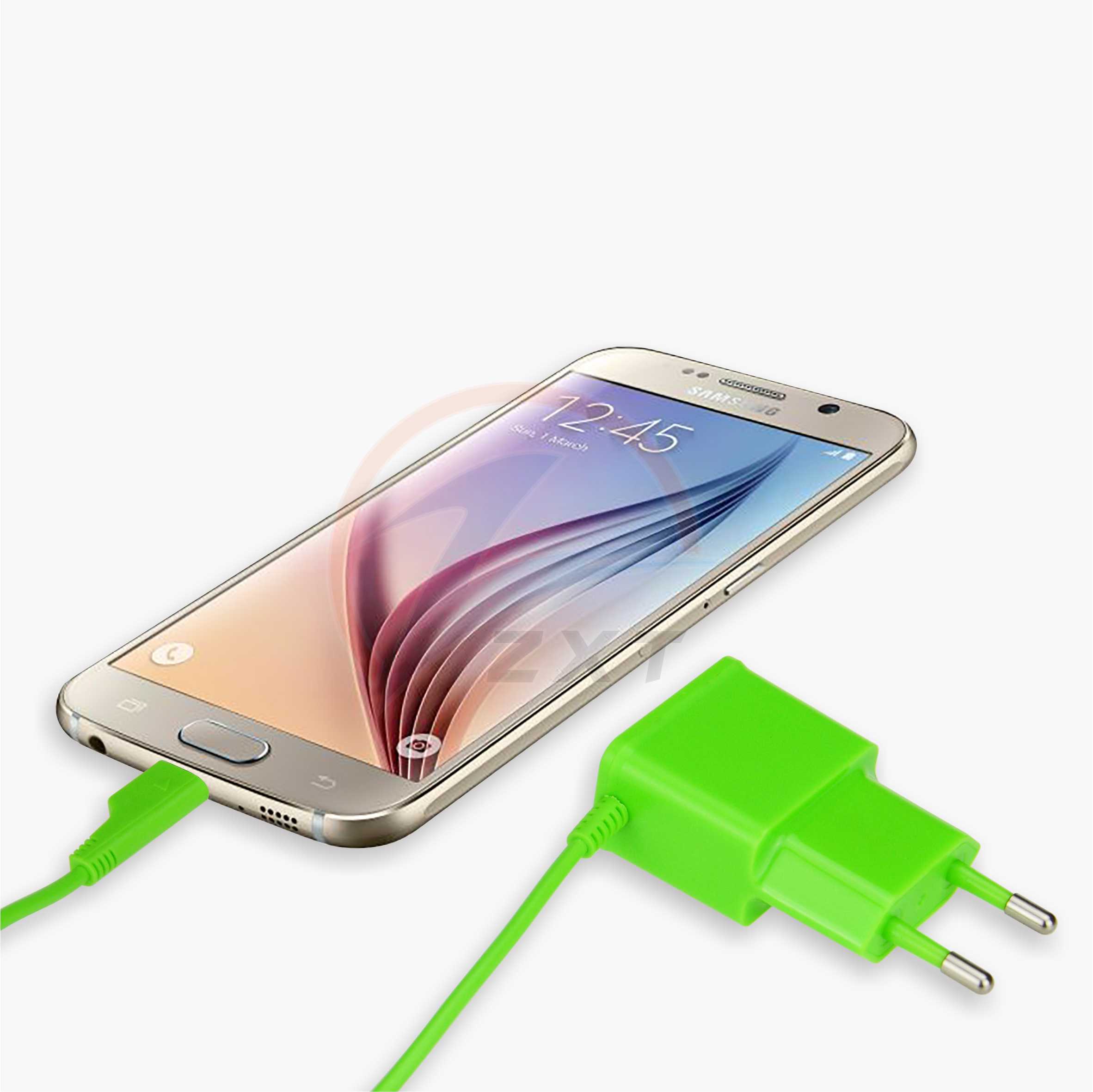 Micro USB Travel Charger